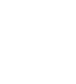 Icon Logo Transparent