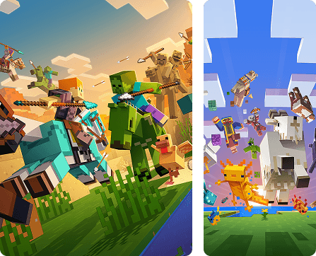 Minecraft What Type Of Server Software Can I Run? Illustration